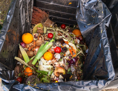 Kompost Nedir?